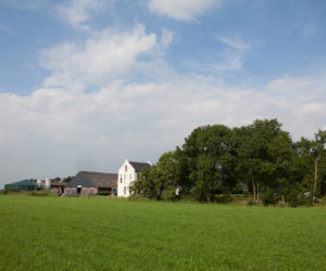 Zonnepanelen Man&Mach