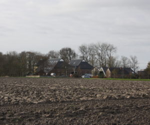 Totaalpakket asbestsanering, dakbedekking, zonnepanelen