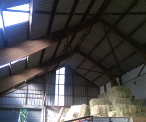 verwijderen asbest daken en gevels